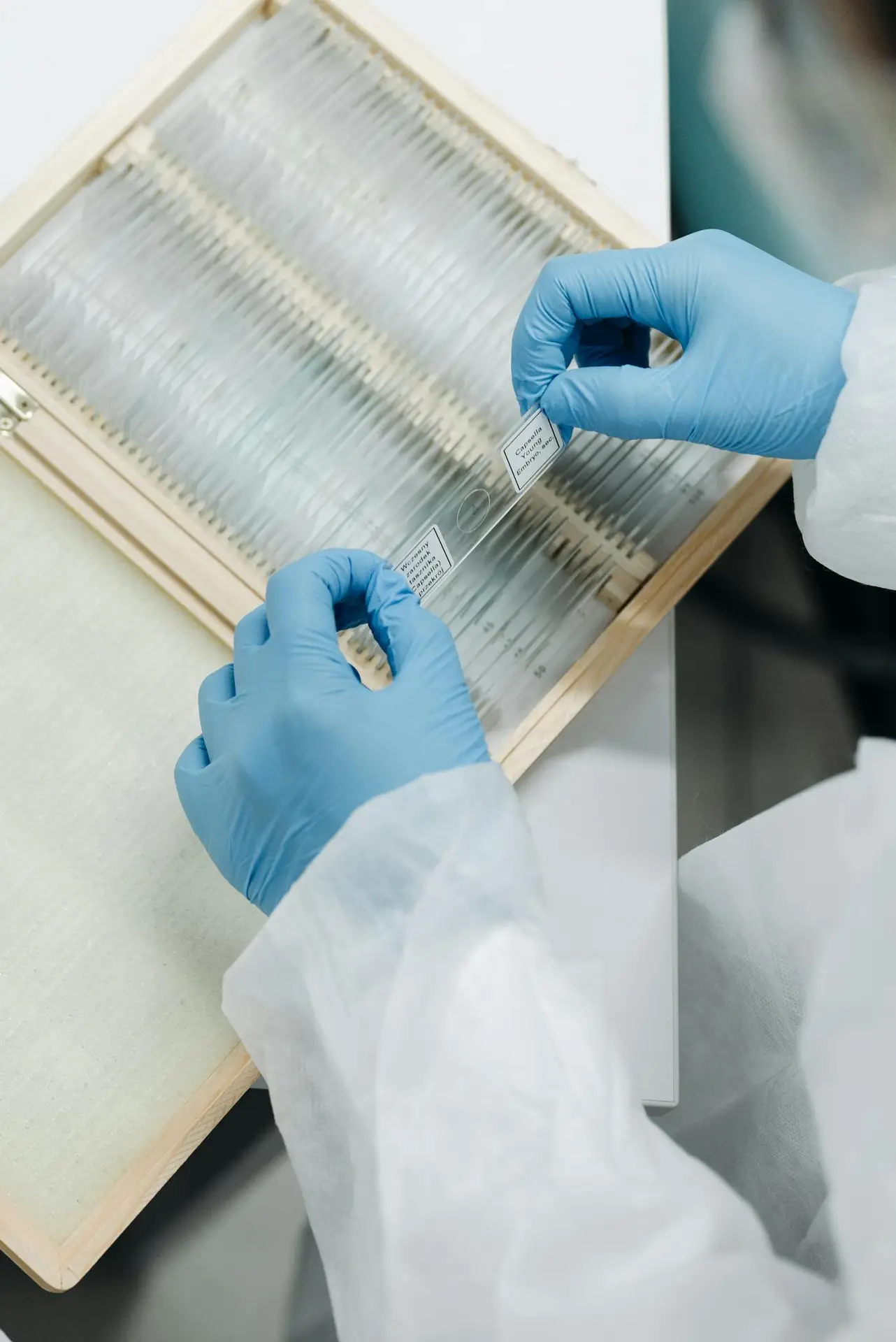 Close-up of a scientist wearing gloves and handling lab slides, ensuring precise research.