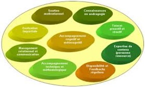 Partie 6 : Les compétences du Tuteur