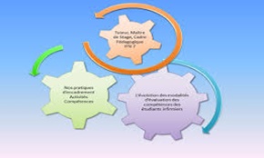 Partie 2 : Les fondamentaux du Tutorat